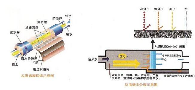 电子工业国产69精品久久久久水蜜桃